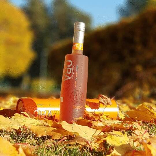 Bruichladdich Octomore Oba Concept Single Malt Scotch Whisky