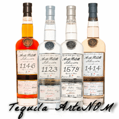 Buy Tequila ArteNOM | Frootbat
