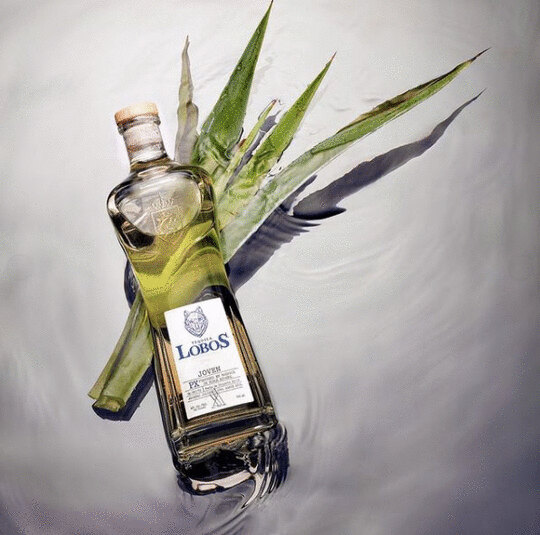 Lobos 1707 Joven Tequila