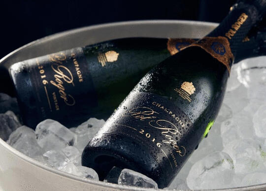 Pol Roger Brut Vintage Champagne