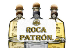 Buy Roca Patron | Frootbat