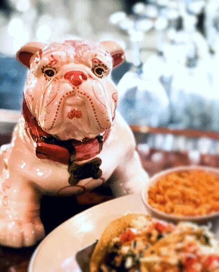 Mascota Tequila Rosa Blanco
