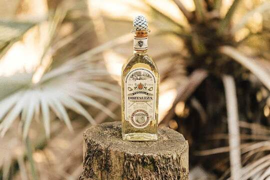 Fortaleza Reposado Tequila